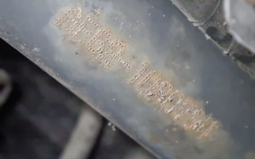 HONDA DIO Gen.6 2020 AF62