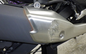 KAWASAKI VERSYS X250Aﾂｱﾗｰ 2024 LE250D