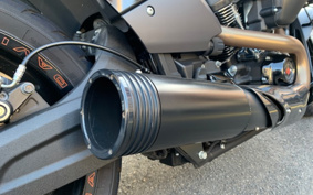 HARLEY HARLEY FXDRS 2021 YVK