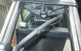 HONDA REBEL 250 MC49