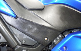 KAWASAKI NINJA 250R 2021 EX250K