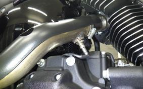 HARLEY FXLRST1920 2024
