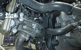 DUCATI MONSTER 937 SP 2025
