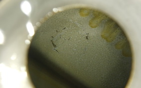 HONDA CBR650R 2023 RH03