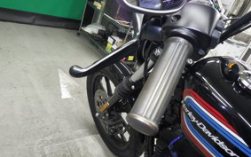 HARLEY XL1200NS 2020