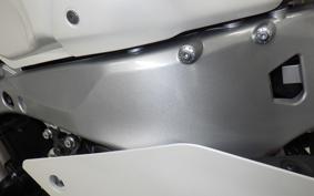 YAMAHA XSR900 GP 2024 RN96J