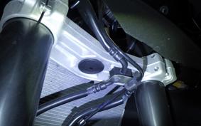 KAWASAKI NINJA 1000 A 2019 ZXT00W
