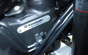 KAWASAKI NINJA 1000SX 2023 ZXT02K