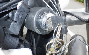 HARLEY L1200LI 2010