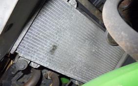 KAWASAKI NINJA 250 EX250L