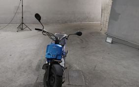 HONDA ZUMAR AF58
