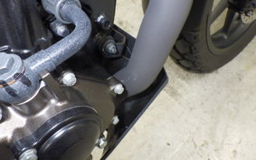 SUZUKI Vｽﾄﾛｰﾑ250SX 2025 EL11L