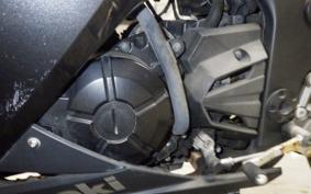 KAWASAKI NINJA 250 2019 EX250L