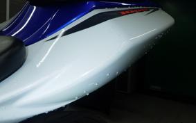 SUZUKI GSX-R1000 2009