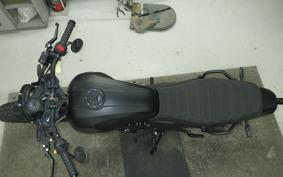 OTHER +MUTT DRK-01 250 1999