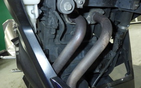 KAWASAKI Z250 2022 ER250C