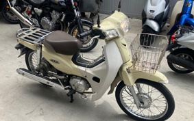 HONDA SUPER CUB110 JA10