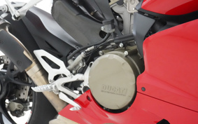 DUCATI 1199PANIGA-RES 2013