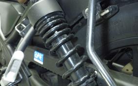 HONDA REBEL 250 MC49