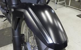 KAWASAKI VERSYS X250Aﾂｱﾗｰ