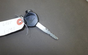 HONDA GIORNO 3 2023 AF77