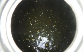 YAMAHA DRAGSTAR 1100 2002 VP13J