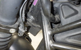 HONDA REBEL 250 S 2006 MC49