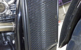 TRIUMPH SCRAMBLER 900 2023