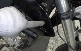 KAWASAKI KLX250D TRACKER X LX250V
