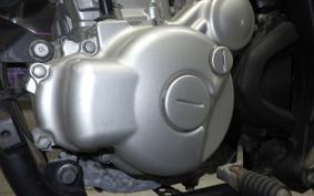 YAMAHA WR250X 2020 DG15J