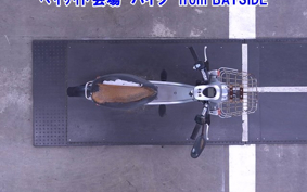 YAMAHA PASSOL