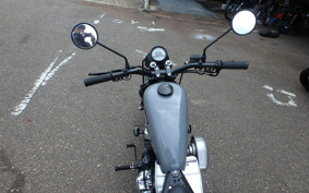 OTHER THUNDER 250 ...