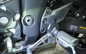 KAWASAKI NINJA 1000 SX 2024 ZXT02K