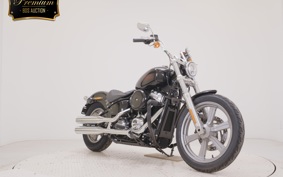 HARLEY FXST1750 2025