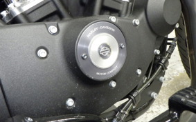 HARLEY XL883N 2017