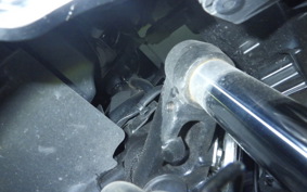 YAMAHA CYGNUSｸﾞﾘﾌｧｽ 2022 SEJ4J