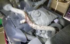 YAMAHA VINO 50 2022 SA37J