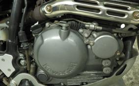 KAWASAKI SUPER SHERPA 2018 KL250G