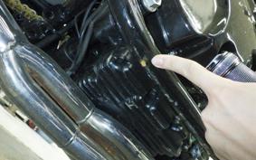 YAMAHA XJR400 1995 4HM