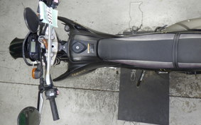 YAMAHA WR250X 2020 DG15J