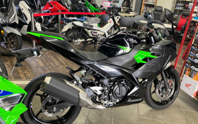 KAWASAKI NINJA 400 2019 EX400G