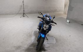 KAWASAKI Z250 SL BR250E