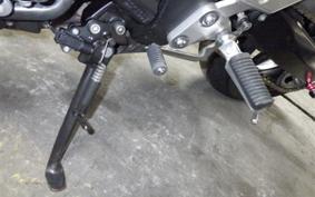 YAMAHA FZ1 FAZER 2010 RN21J