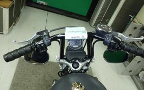 HARLEY XL1200CB 2013