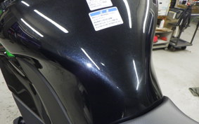 KAWASAKI NINJA 1000 SX 2024 ZXT02K