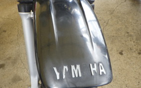 YAMAHA TW225 DG09J