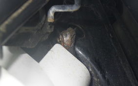 HONDA ﾍﾞﾝﾘｨ50 AA03