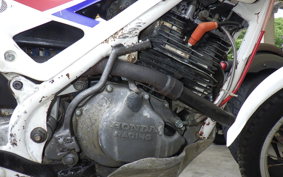 HONDA RTL250S RTL250SF