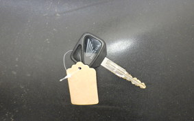 HONDA CBR1100XX 2000