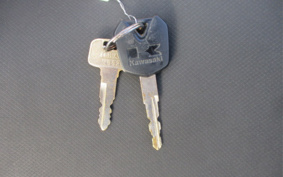 KAWASAKI Z250 ER250C